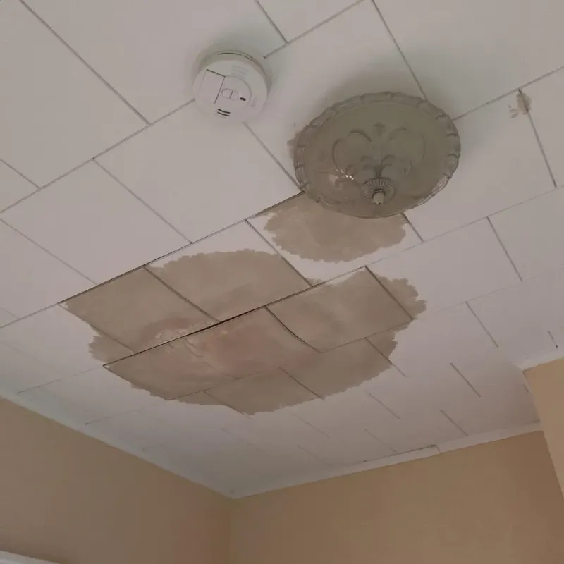 Ceiling Water Damage Repair in Albany County, NY