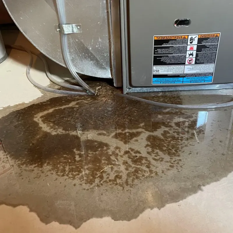 Pipe Burst and Leak Restoration in Albany County, NY